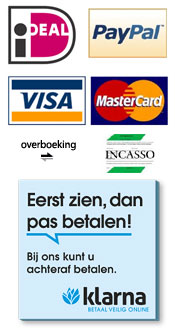 Manieren om veilig te betalen