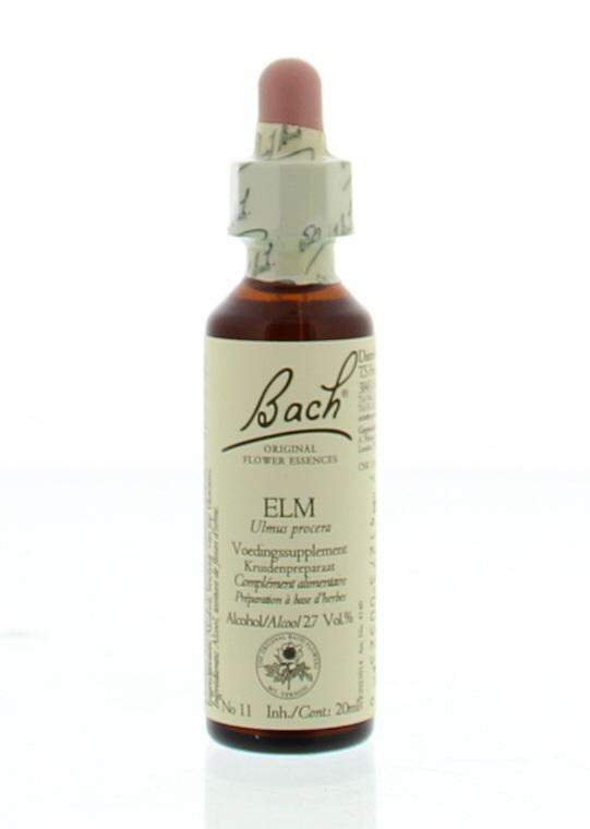Bach Bloesem 11 Elm