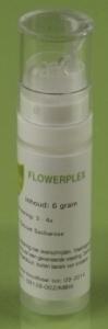 Hfp014 Kosmos Flowerplex