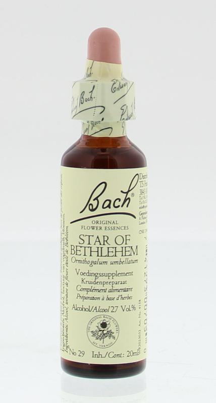 Bach Bloesem 29 Star Of Bethlehem