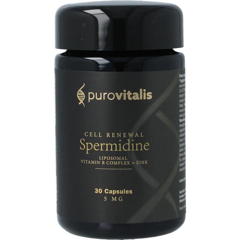 Liposomal Spermidine Fusion