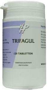 Holisan Trifagul Tablet