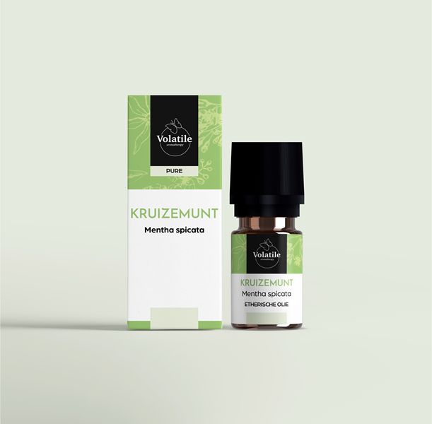 Kruizemunt