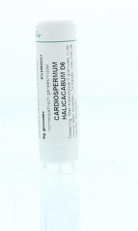 Whole Cardiospermum Halicacabum D6 Granule