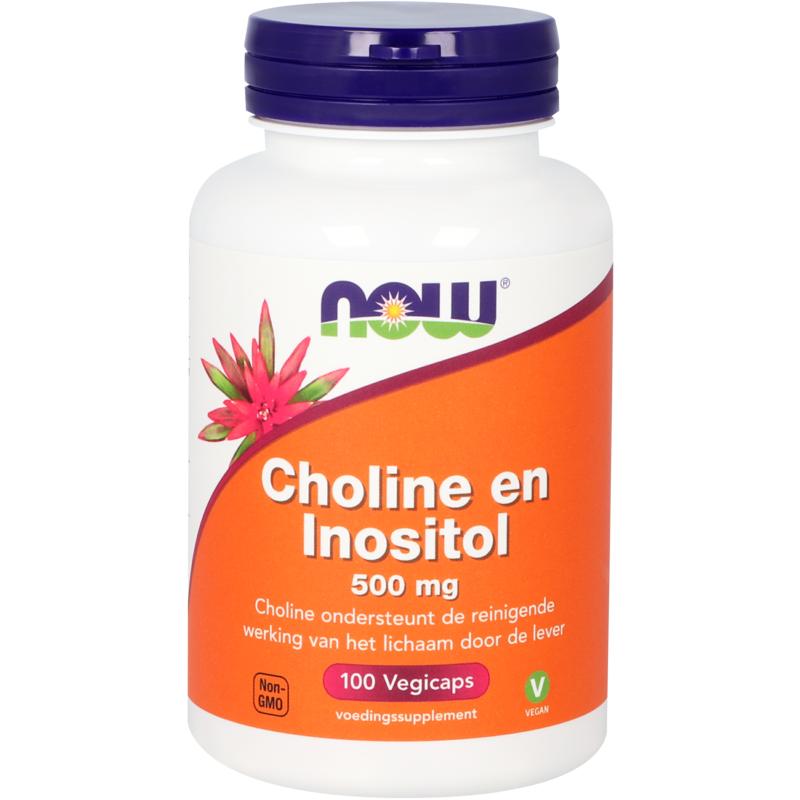 Now Choline & Inositol 500mg Capsule 3285