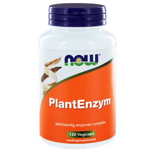 Now Plant Enzymes Vcaps 8413