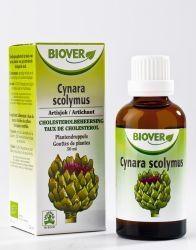 Cynara Scolymus Tinctuur Bio