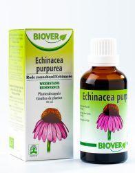 Echinacea Purpurea Tinc Biover 50ml