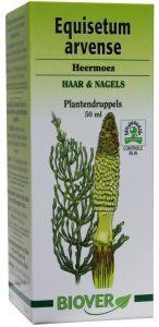Equisetum Arvense Tinct Biover 50ml
