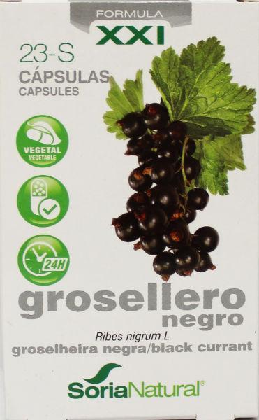 Ribes Nigrum Xxi 23-S Capsule