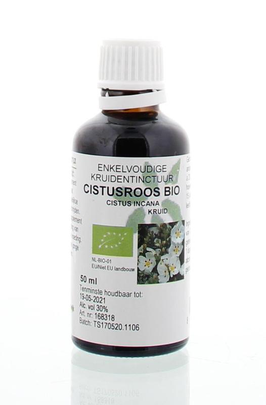 Cistus Incana/Cistus Roos Cru