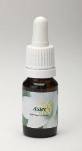 Aster Star Remedies