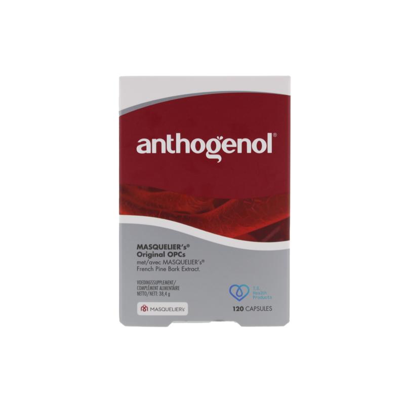 Product Masquelier`S Anthogenol Capsule
