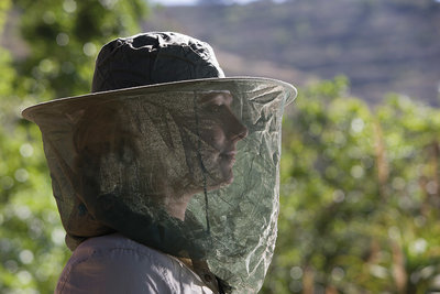 Care Plus Mosquito Net Pop-Up Headnet
