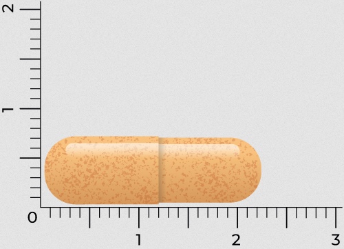 Vitakruid Vitamine B-Complex Actief Zonder B6