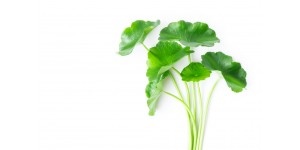 Reage Skin Factor 3